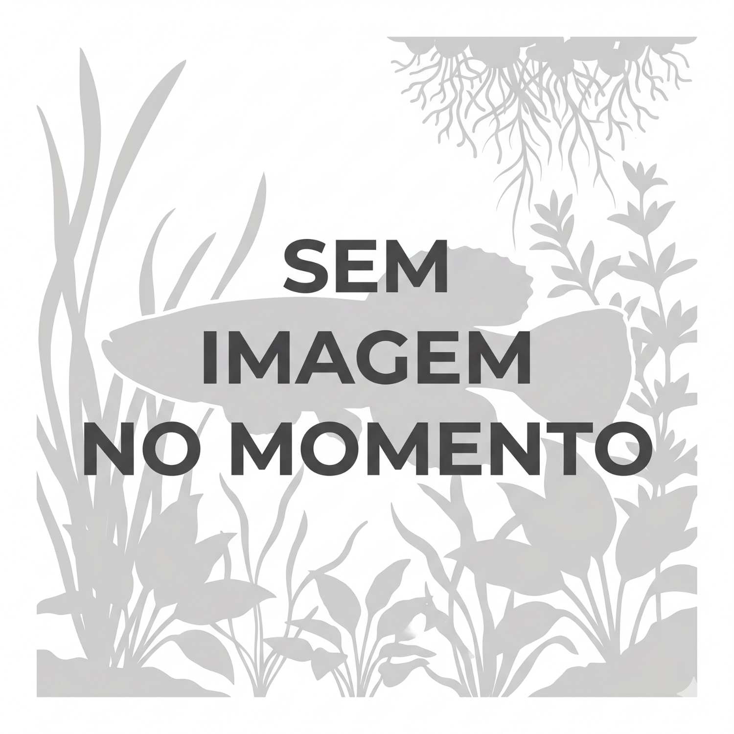 Killis - Site UBK