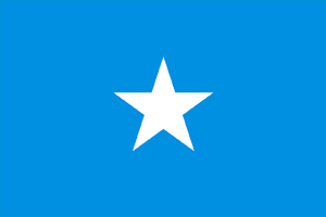bandeira