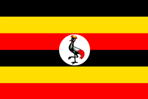 bandeira