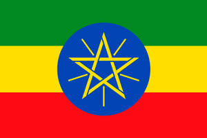 bandeira