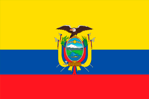 bandeira
