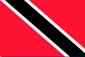 bandeira